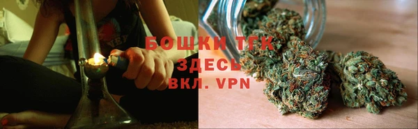 прущие грибы Абдулино