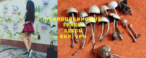 дживик Абаза