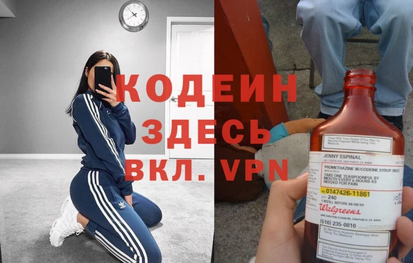 дживик Абаза