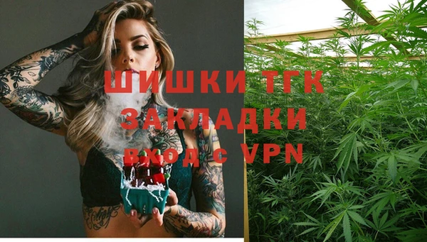 дживик Абаза