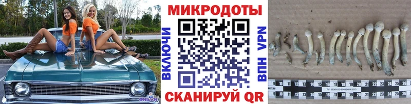 Галлюциногенные грибы Cubensis  Нахабино 